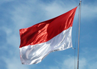 인도네시아 해외 현지법인 설립
